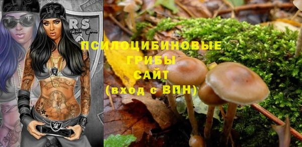 бошки Балахна